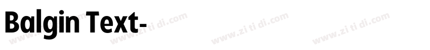 Balgin Text字体转换 Balgin Text字体转换